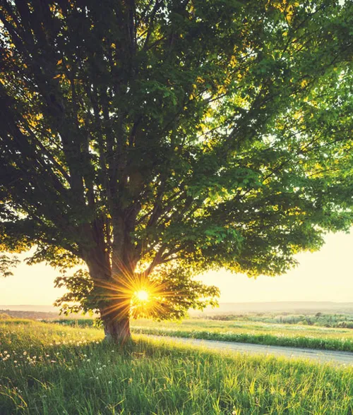 value-gs-4556-bedroom